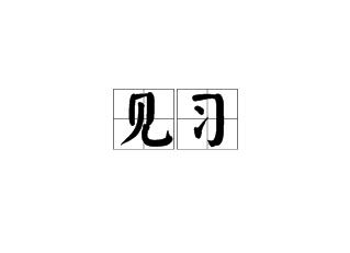见习是什么意思(见习岗位是什么意思)