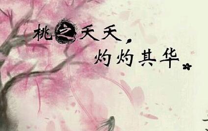 灼灼其华暗喻什么(灼灼其华可以比喻男人吗)