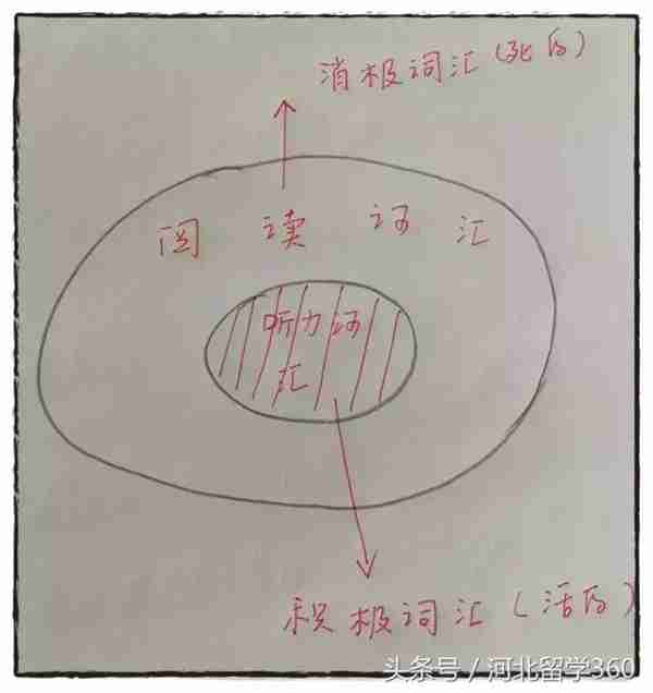 3个月听懂BBC：我是如何训练英语听力的？超强方法！