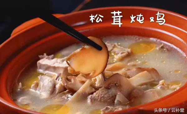松茸吃法大全，松茸做法大全，全部在这里，收藏吧