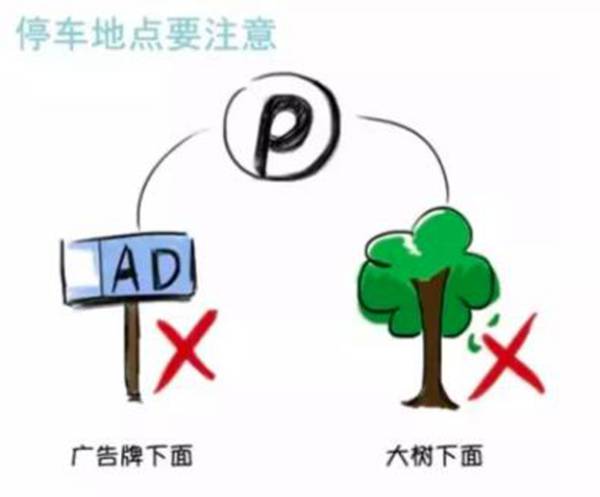 台风来了怎么办？最全防灾自救合集来了！