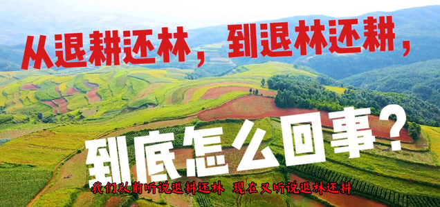 退林还耕是怎么回事(退林还耕的背景和原因)