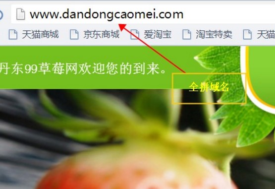 全拼域名的优势