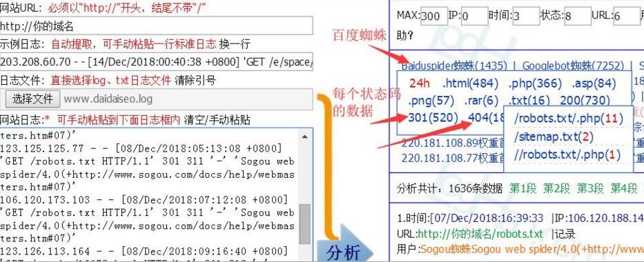 蜘蛛日志分析
