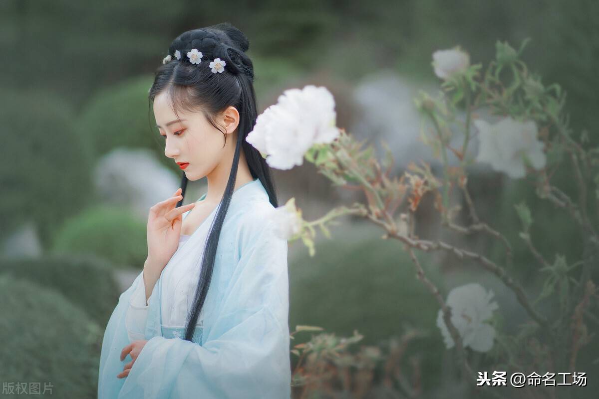 姝怎么读(姝字的寓意)