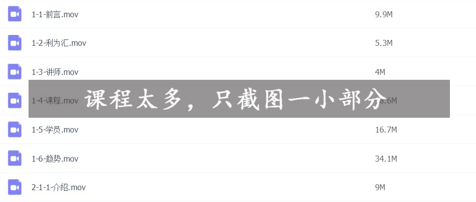 利为汇SEO培训教程合集共6大阶段160课时（入门SEO强烈推荐）！