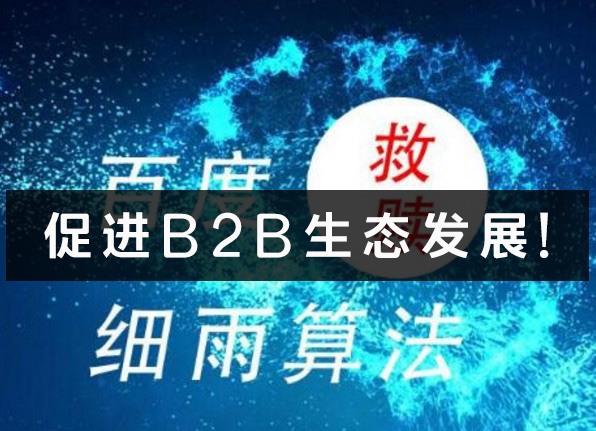 “细雨算法”促进B2B站点生态发展！