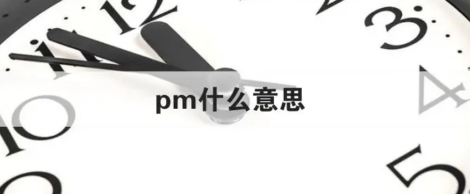 pm是啥意思(PM在职场中的含义)