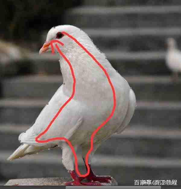 ps钢笔工具怎么使用，怎么抠图？这一篇文章讲透彻了！