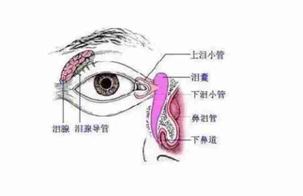 不了解眼线笔，只怕怎么画都晕妆？