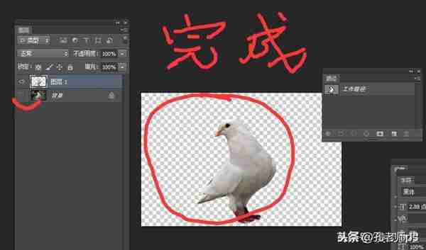 ps钢笔工具怎么使用，怎么抠图？这一篇文章讲透彻了！