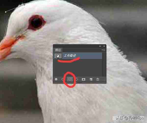 ps钢笔工具怎么使用，怎么抠图？这一篇文章讲透彻了！