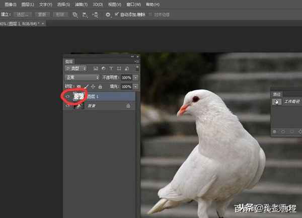 ps钢笔工具怎么使用，怎么抠图？这一篇文章讲透彻了！
