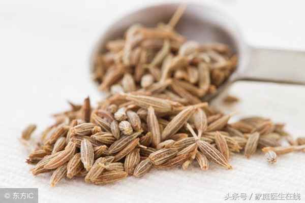 孜然是什么(孜然和孜然的区别)