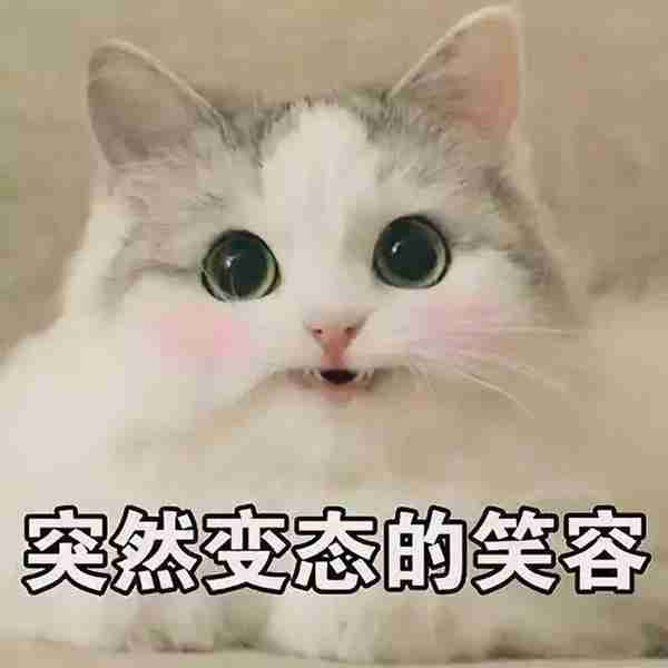 史上最全明星证件照合集，最帅男星出炉啦？