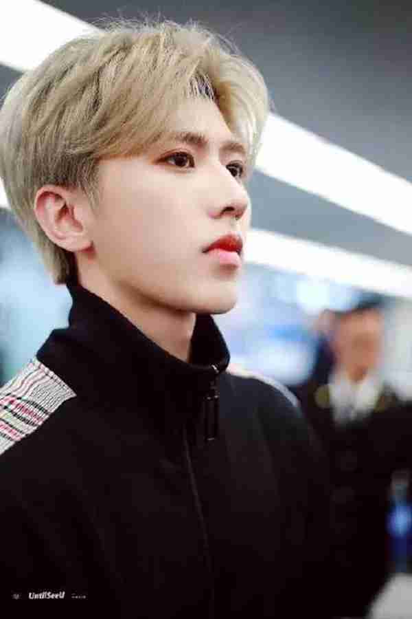 史上最全明星证件照合集，最帅男星出炉啦？