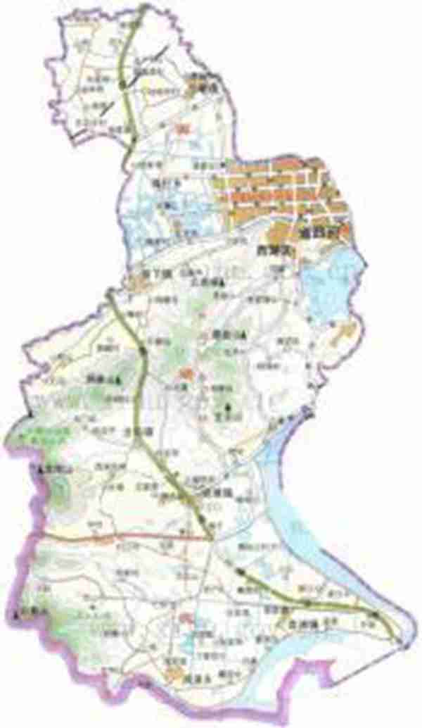 夏日高温，新鲜绿茶上市