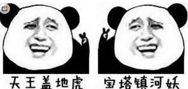 天王盖地虎的下一句是什么（段友说的是什么意思）