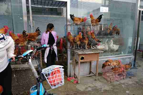 早市上这些美食卖火了，比农村大集都便宜