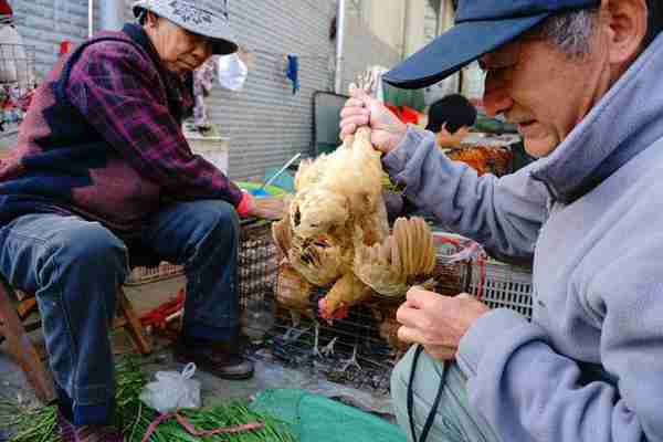 早市上这些美食卖火了，比农村大集都便宜
