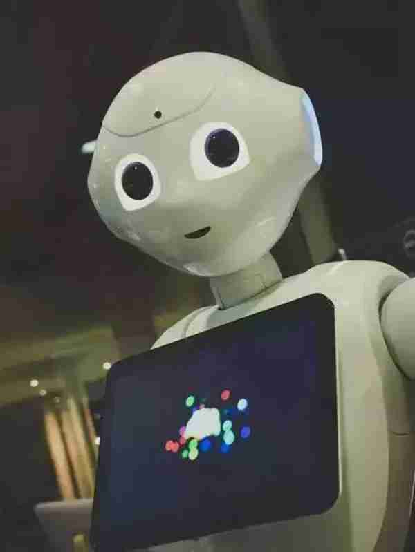 志愿填报：近两年哪些大学哪些专业是热门