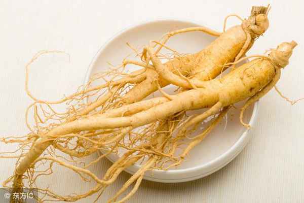 人参怎么吃效果最好？（4种食用方法介绍）