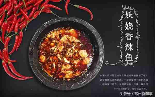 全国连锁猫咪爱上鱼入驻路劲又一城大润发啦！