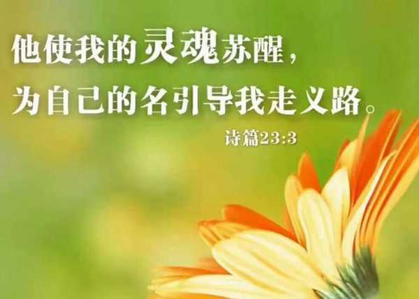 生活不只是眼前的苟且，还有诗和远方，有吗？