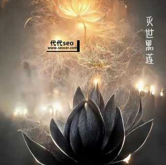 黑莲花是什么意思(黑莲花代表什么象征意义)
