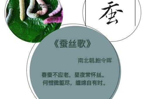春蚕象征着什么品质的人(春蚕常比喻什么样的人)