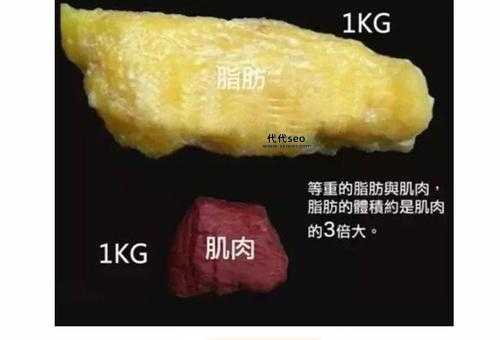 一斤是若干(公斤的区别)