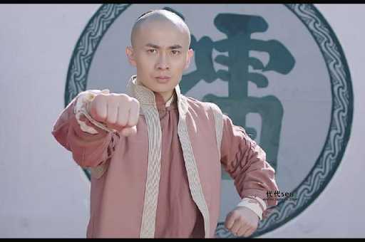 武林传奇8（八卦拳之武林争霸）