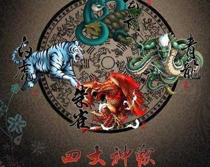 白虎是什么意思(男孩子青龙好欠好)