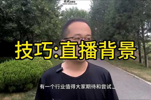 seo千牛帮(它值得尝试吗)