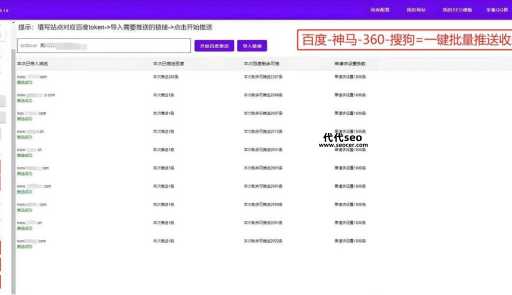 类聚seo(它能帮你快速提升排名吗)