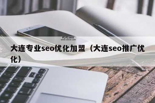 大连seo皮皮(SEO皮皮是专业的大连SEO公司吗)