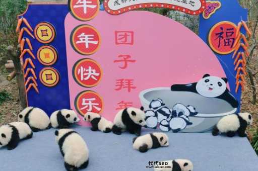 网站推广大熊猫优化(  大熊猫优化到底能带来哪些好处)