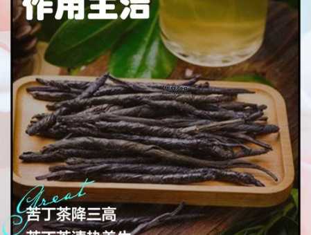 苦丁茶的副作用和危害(  它到底会对身体造成什么危害)