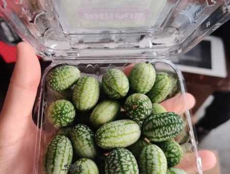 种植业什么最赚钱(可以卖出好价钱)