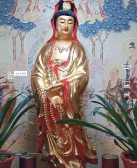 含苞欲放：深度解读词义与背后鲜为人知的典故