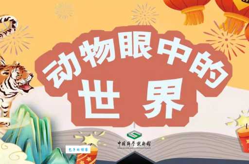 中国最神奇的文化(让你大开眼界)