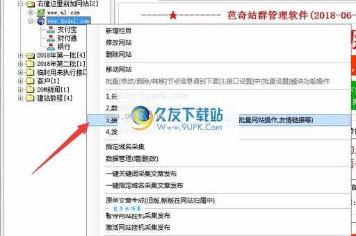 芭奇站群有用吗？这些好处你可能还不知道！