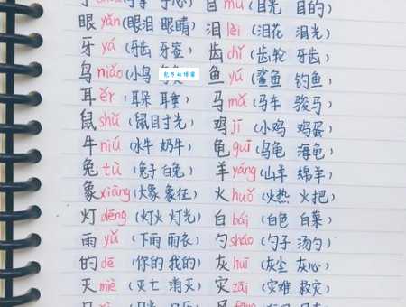 想知道扁组词100个？这篇文章帮你总结！