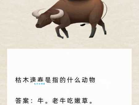 听其自便指什么生肖动物？谜底揭晓原来是它！