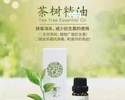 茶树精油怎么用效果好？这几个用法要知道！
