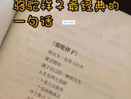 不知道翃怎么读？这里有最全面的翃字读音介绍