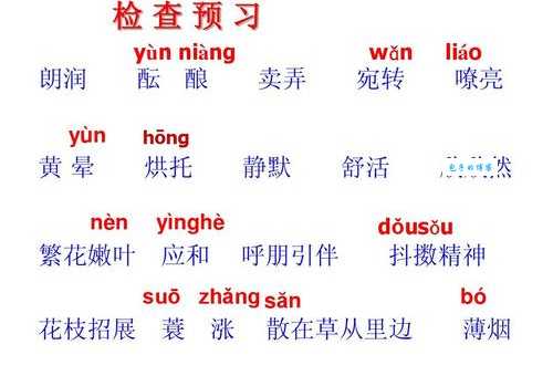 还在为梭梭树拼音发愁？suō suō shù正确读音指南