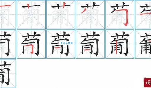 开字加一笔后是什么字？卉字的详细解释和用法