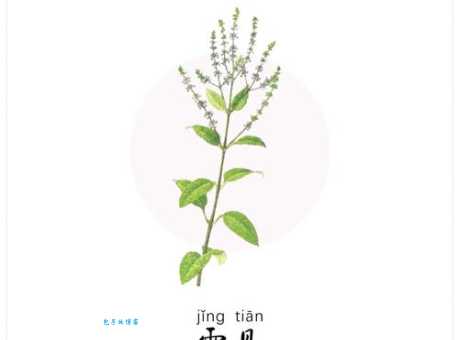纳罕是什么意思？快速了解纳罕的含义和用法