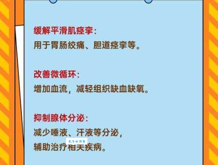 如何正确读出莨菪碱？山莨菪碱的药理作用是什么？